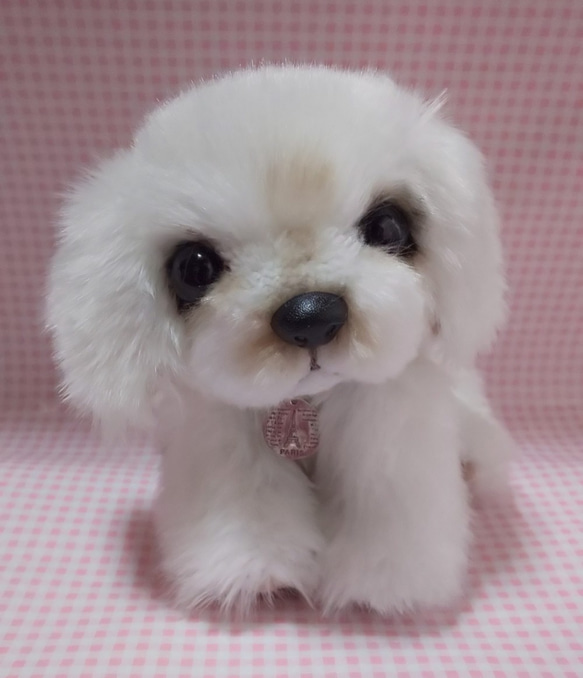 ふわふわぬいぐるみ☆白い垂れ耳ないぬ☆子犬 ぬいぐるみ オハナ 通販