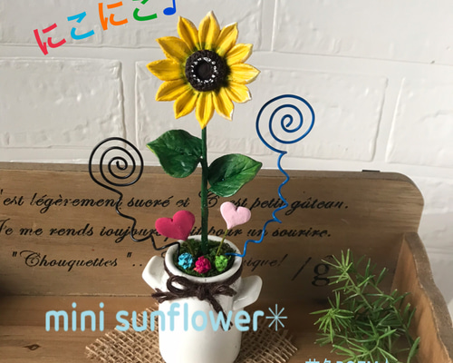 0_29336024ee5e059a0faea95b7234