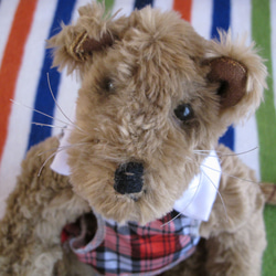 羊毛フェルトハンドメイドトイプードルピアス あみぐるみ moemo 通販