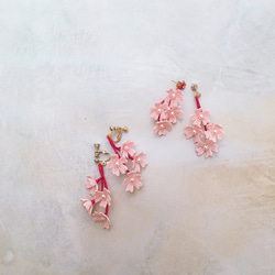 桜のピアス/イヤリング 1枚目の画像