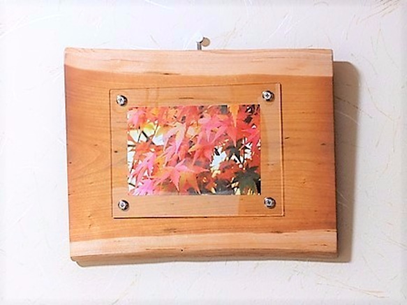 壁掛け対応天然無垢板のフォトフレーム　朱里桜の天然木 2枚目の画像