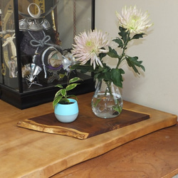 天然木花台・飾り台 KD-19 エンジュ斜め輪切り その他インテリア雑貨