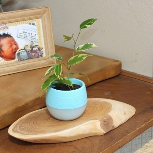 特大サイズ　飾り台座　一枚板　天然木　花台 Amazon.co.jp: 天然木 1枚板 花台 飾り台 切株 木製飾り板