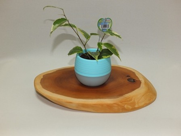 10 カイズカ　木製テーブル　ハンドメイド　ナチュラル　飾り台　置き台　貴重 10 カイズカ 木製テーブル ハンドメイド ナチュラル 飾り台 置き