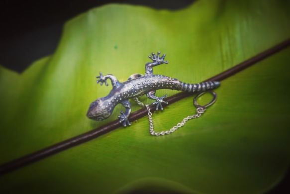 Lizard brooch 1枚目の画像