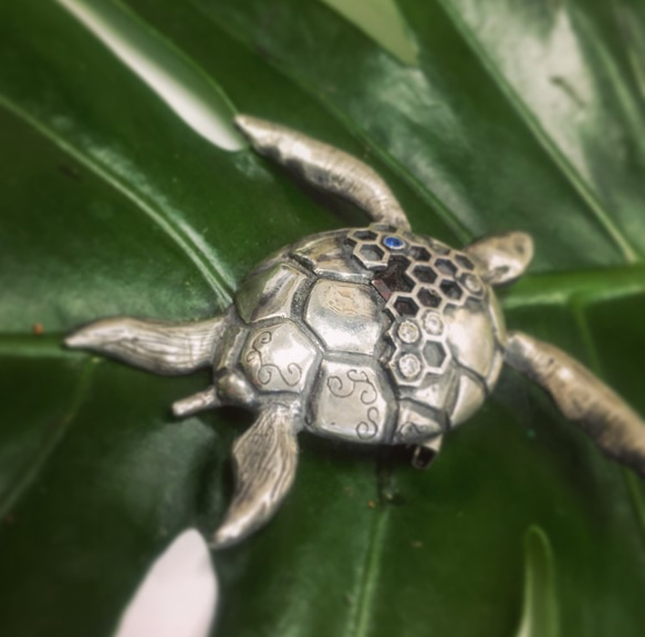 Sea turtle brooch 1枚目の画像