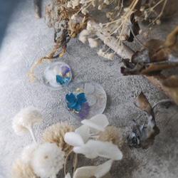清透系列--方塊乾燥繡球花-藍紫 第1張的照片