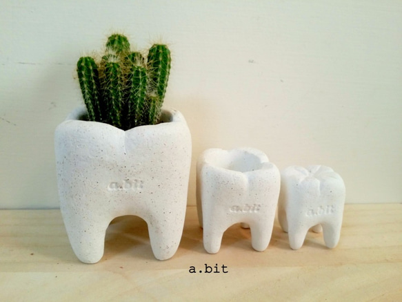 a.bit牙齒水泥盆栽(灰) 一組三個M、S、XS各1 小苗盆 發根盆 拓香石( 不含植株) 第6張的照片