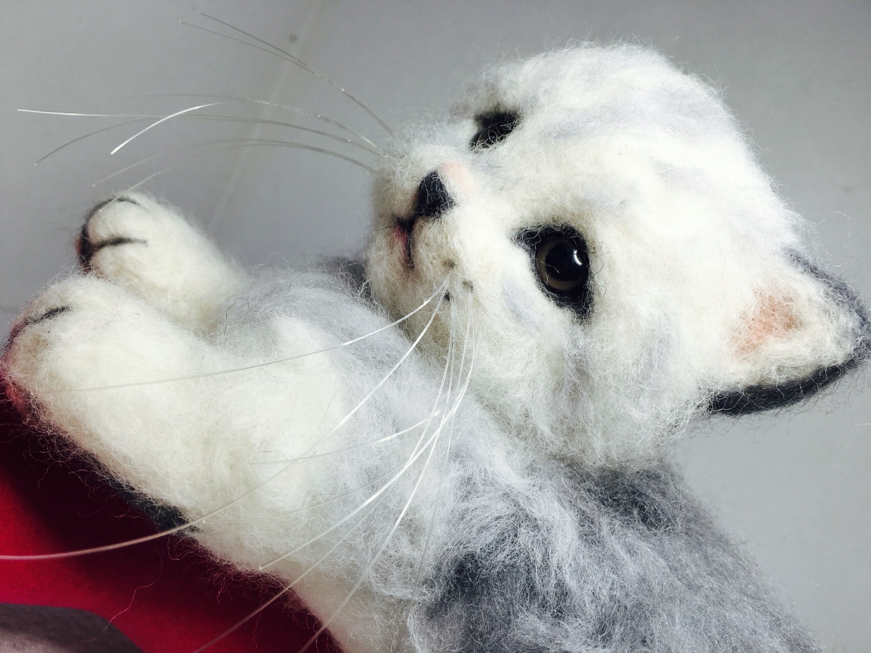 はち。様 アンバーフラワーカルサイト猫ちゃん♡No.1480 はち。様 アンバーフラワーカルサイト猫ちゃんNo.1480