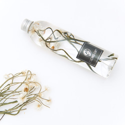 液態標本瓶系列 【珍珠項鍊】 - Cloris Gift 琉璃花 第1張的照片