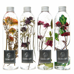 液態標本瓶系列 【雙瓶套組】 - Cloris Gift 琉璃花 (任選兩瓶) 第2張的照片