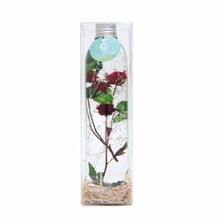 液態標本瓶系列 【雙瓶套組】 - Cloris Gift 琉璃花 (任選兩瓶) 第4張的照片