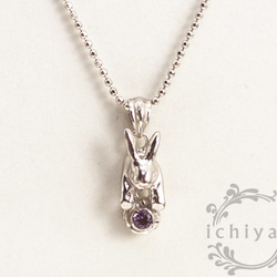 兔子和誕生石紫水晶吊墜月 第2張的照片