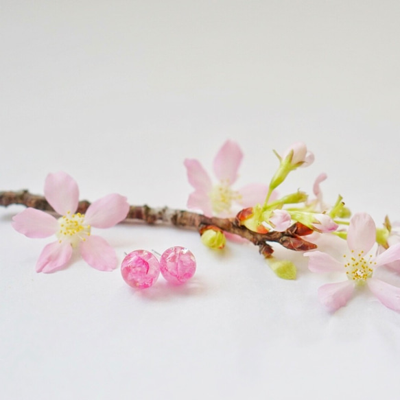 桜の季節 - 春の桜の花びら限定925シルバーイヤリング（10ミリメートル） 1枚目の画像