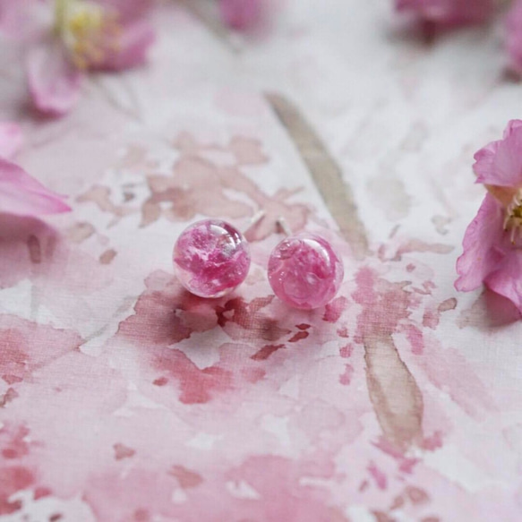 桜の季節 - 春の桜の花びら限定925シルバーイヤリング（10ミリメートル） 2枚目の画像