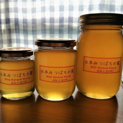 日本ミツバチの蜂蜜・仁淀川和蜜1200g
