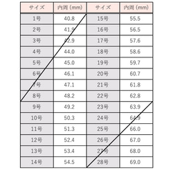  第8張的照片