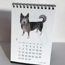 2018年「卓上犬カレンダー」 8枚目の画像