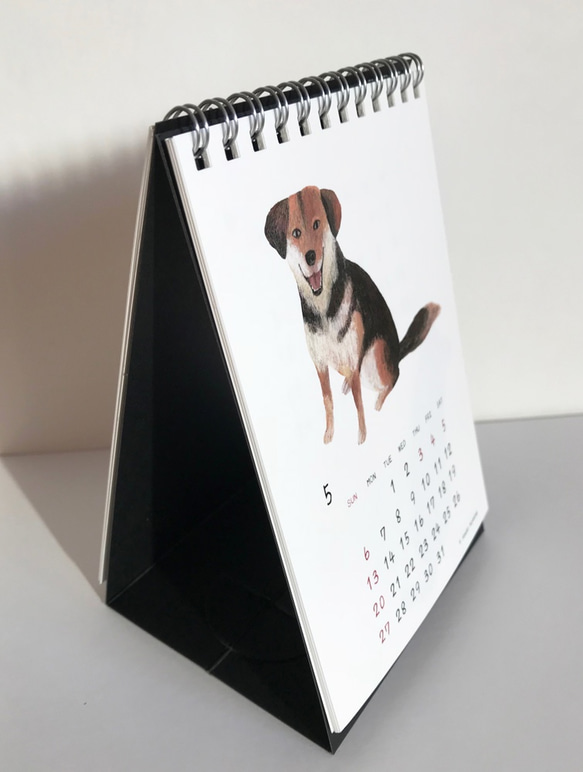 2018年「卓上犬カレンダー」 9枚目の画像