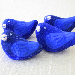 幸せの青い小鳥たち 3枚目の画像