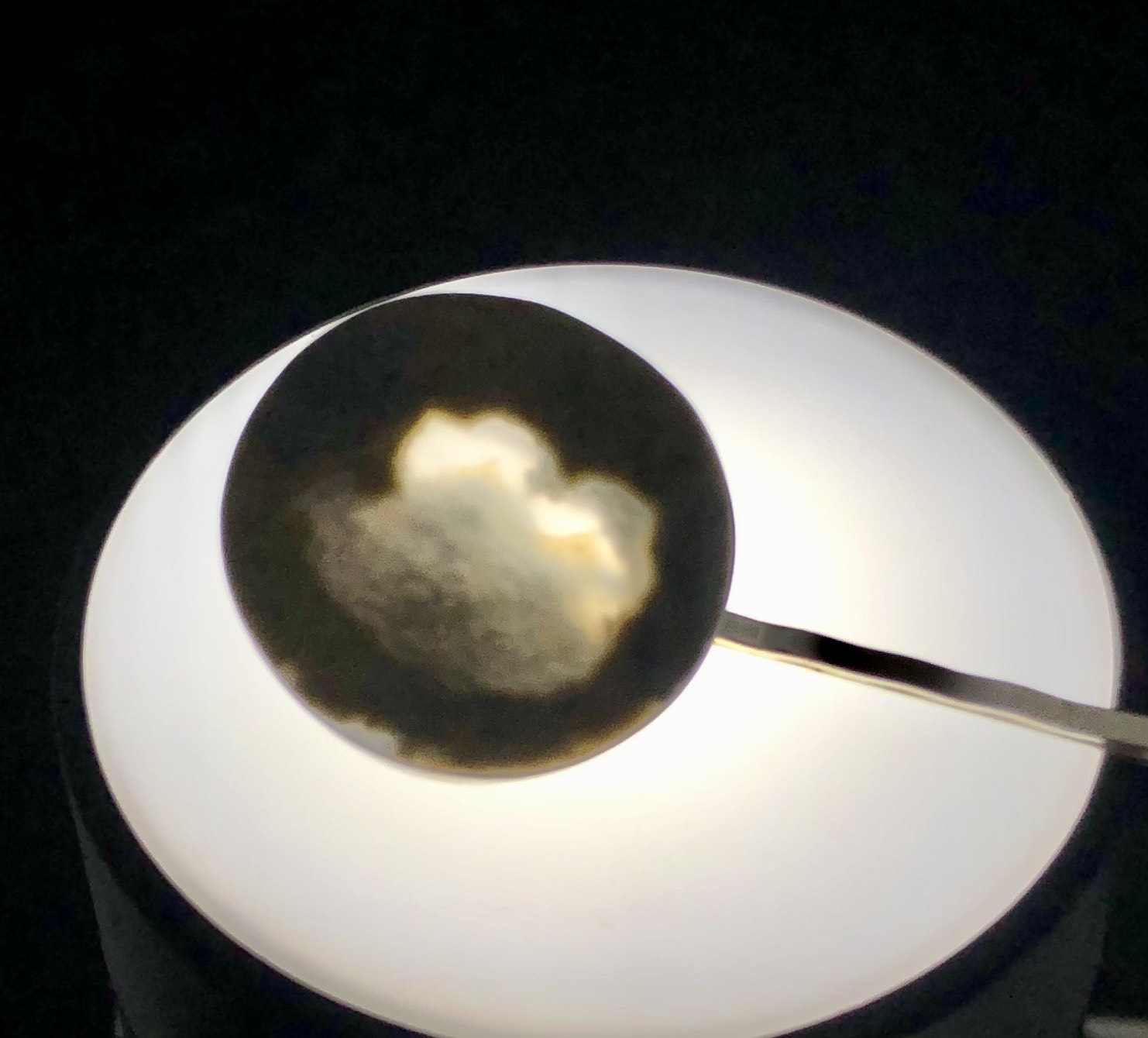 一潭秋水日月湖