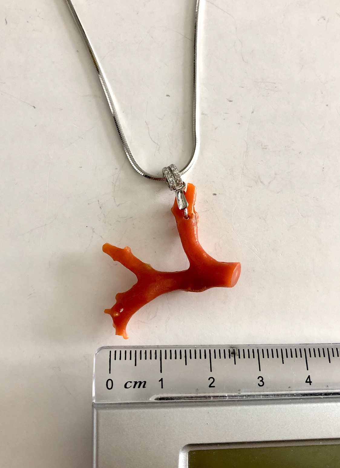 国産赤珊瑚 本赤枝珊瑚