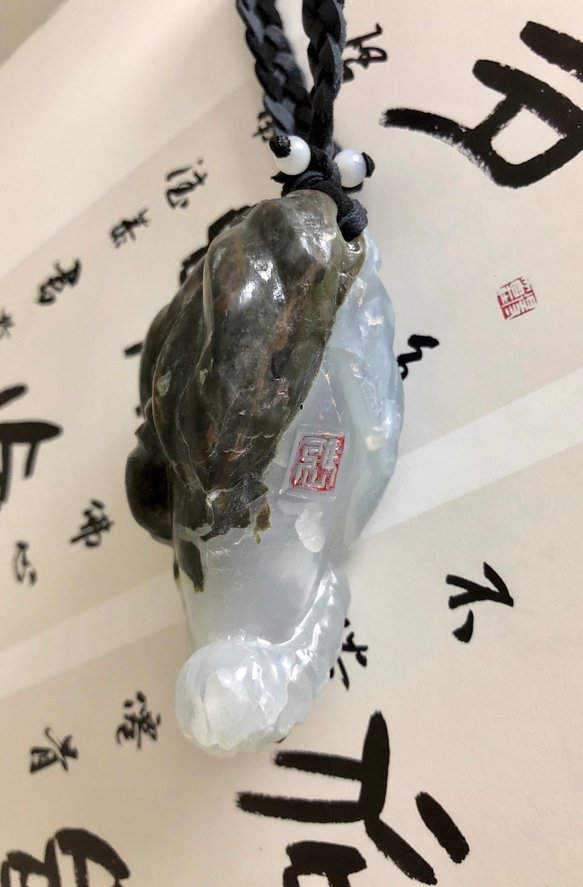  第7張的照片