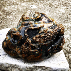 国産天然石 新潟産アゲート手彫り 龍王 1枚目の画像