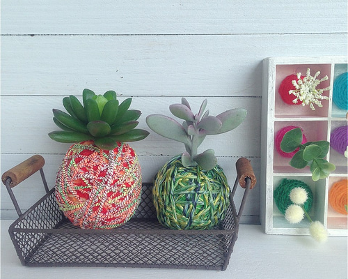 多肉の壁掛けインテリア 多肉植物 壁掛け」の人気商品一覧 | 安い商品を通販サイトから
