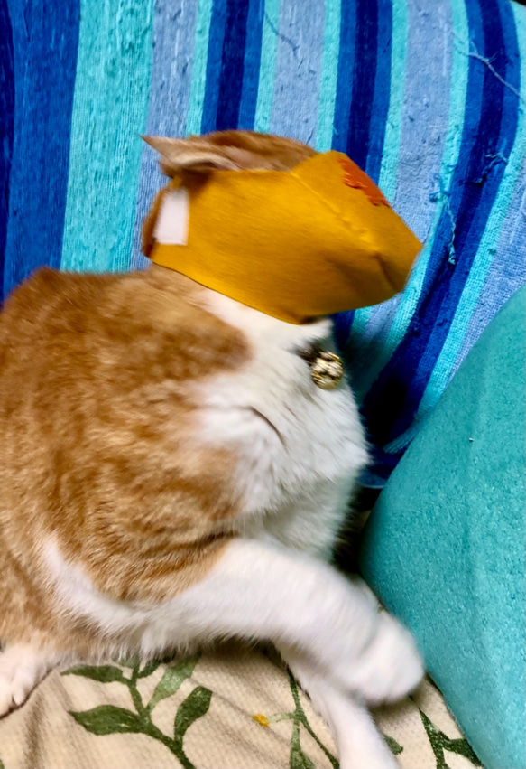 猫ちゃん爪切りマスク 3枚目の画像