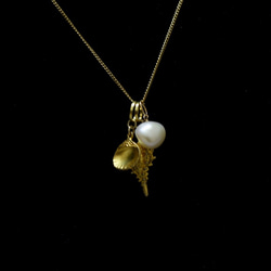 ○石飾珍珠[珍珠] [14kgf] [六月誕生石] 第1張的照片