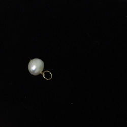 ○石飾珍珠[珍珠] [14kgf] [六月誕生石] 第3張的照片