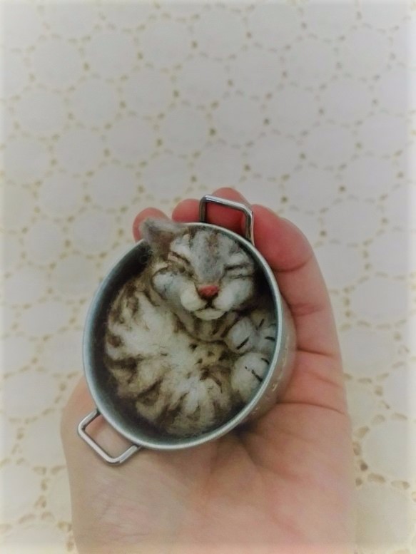 缶猫　サバトラ　(´ω`) 1枚目の画像