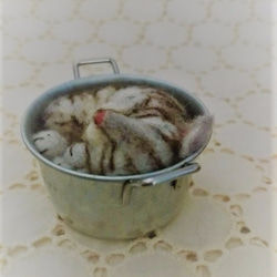 缶猫　サバトラ　(´ω`) 2枚目の画像
