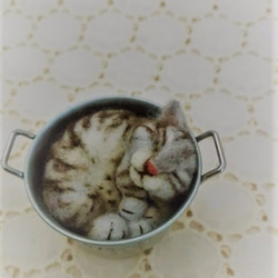 缶猫　サバトラ　(´ω`) 4枚目の画像