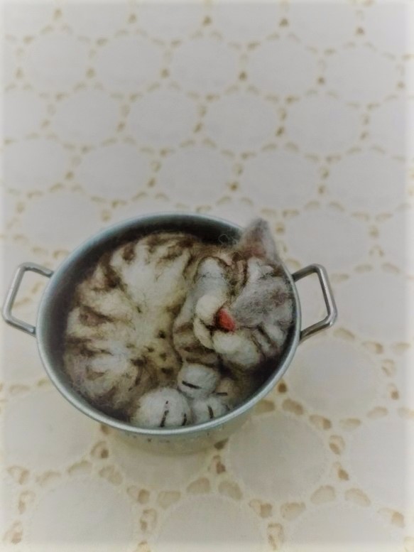 缶猫　サバトラ　(´ω`) 4枚目の画像