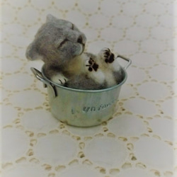 缶猫　ブルーグレー(´ω`) 3枚目の画像