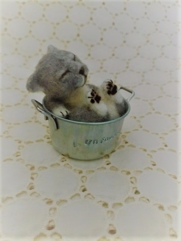 缶猫　ブルーグレー(´ω`) 3枚目の画像
