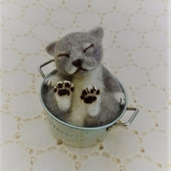 缶猫　ブルーグレー(´ω`) 4枚目の画像