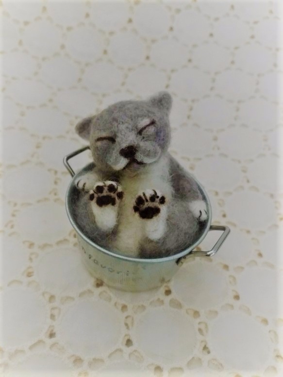 缶猫　ブルーグレー(´ω`) 4枚目の画像