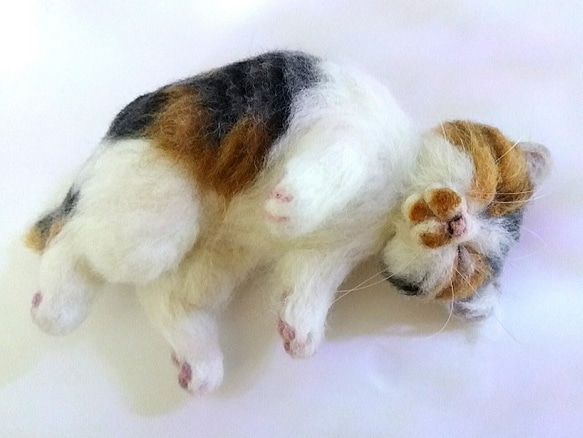 和猫 三毛ちゃん 三ヶ月子猫モデル (´ω`) 羊毛フェルト tomoe