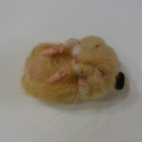 キンハム 子供ちゃん (´ω`) 羊毛フェルト tomoe*farm もきゅん 通販