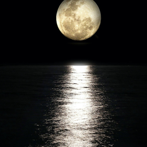 MSM ポスター Amazon.co.jp: 【限定特典B2ポスター付き】 Mrs. GREEN APPLE