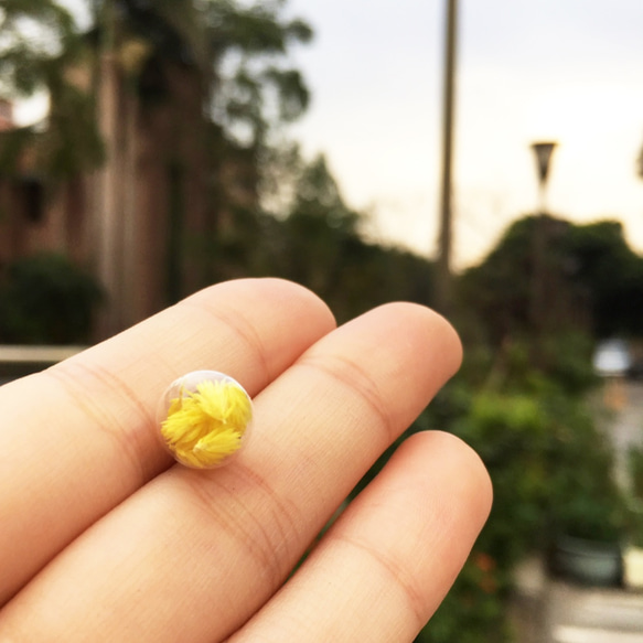 ガラス玉のイヤリング黄色の花 - 小さな欲望 - 永久花 1枚目の画像