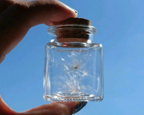 幸せを呼び込むかもしれないケセランパサラン salvation-p_ysssk-4