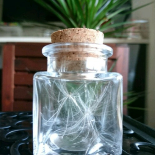 幸せを呼ぶ♥ケサランパサラン♥ 2つ入り その他インテリア雑貨