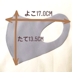 SALE！【何枚でも送料198円】洗える　水着素材　夏　涼しい　マスク　フリーサイズ　男女　速乾　日本製　グレー 3枚目の画像