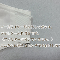 再販【夏用マスク１枚】配色　薄手ダブルガーゼ３重使い　ワイヤー入り・フィルターポケット付き 3枚目の画像