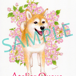 0_ef6c7a1ee501fb5bda0de09019ef