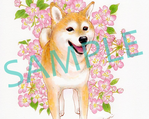 0_ef6c7a1ee501fb5bda0de09019ef